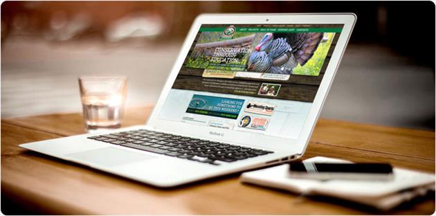 گرایش های طراحی سایت حرفه ای